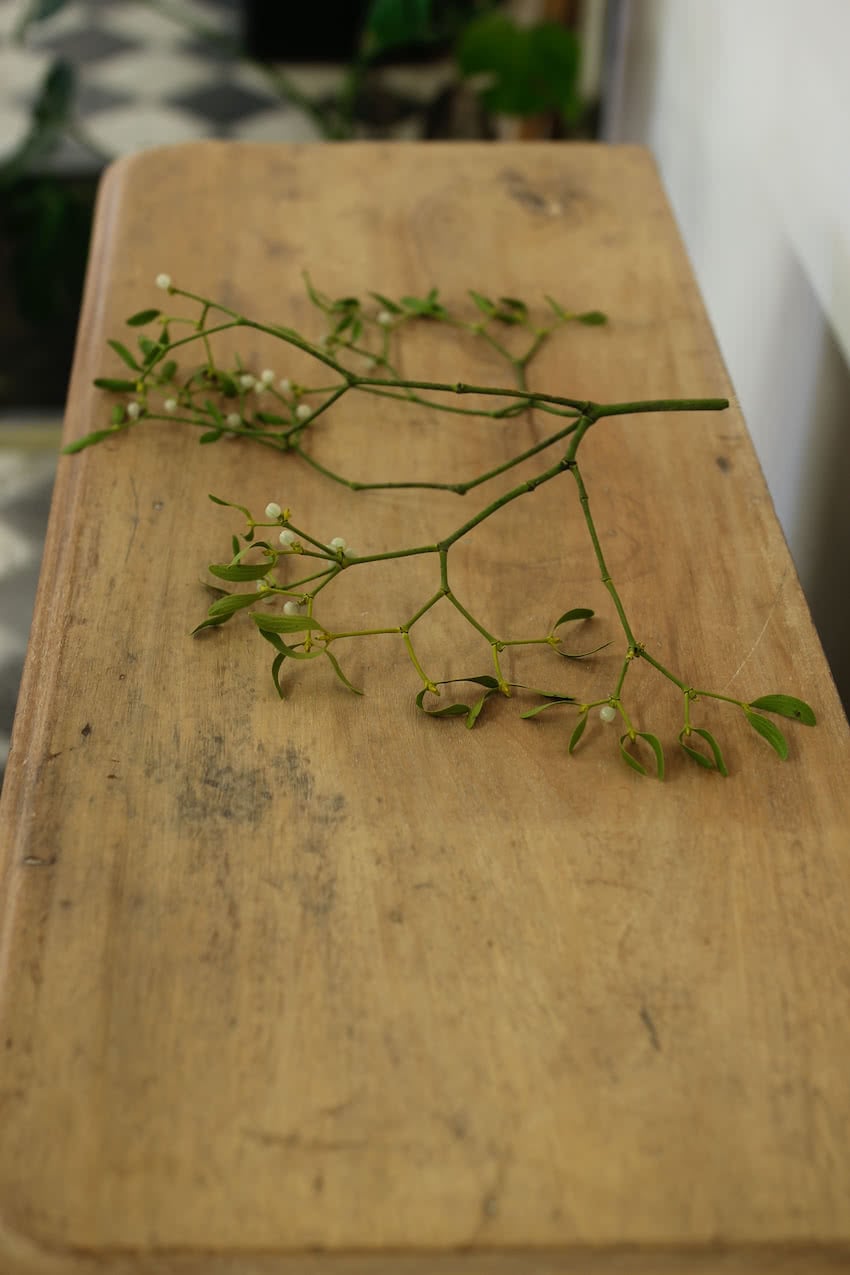 gorgeous rustic looking sympathetically restored two door fine pine cupboard with long shelf inside, lovely rounded shaping on sides and deep plinth.