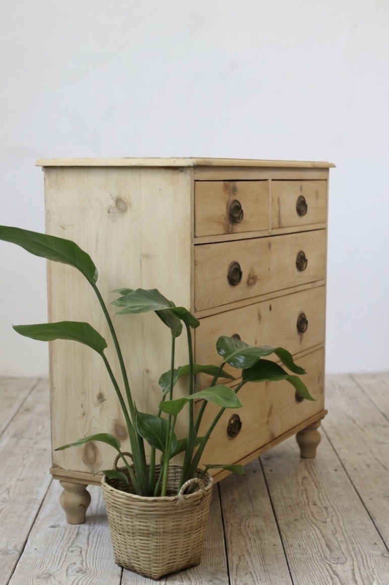 restored english antique pine chest of five graduating drawers with brass oval handles & pretty new tulip shaped feet.