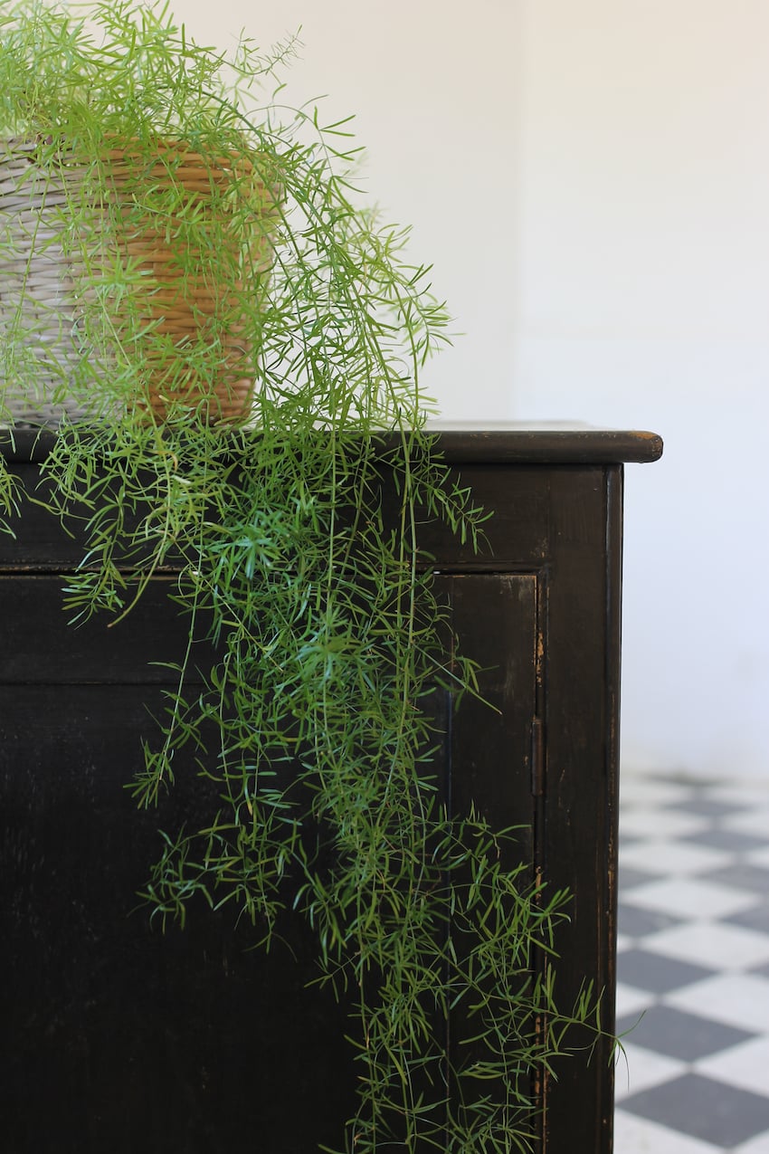 gorgeous restored victorian pine cupboard painted in black with a distressed finish & interior door painted in lichen, the cupboard has original shelf inside. 