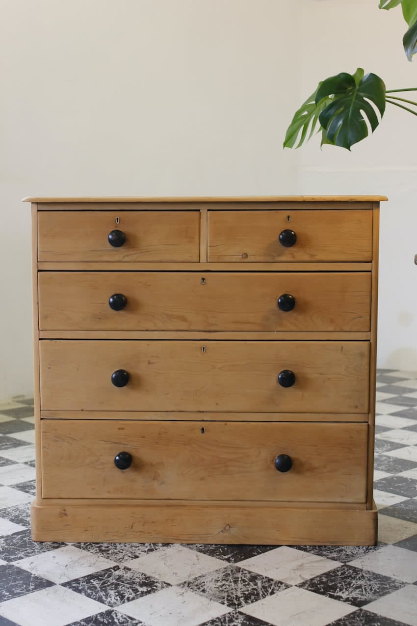 large english pine antique chest of drawers with contrasting black knobs