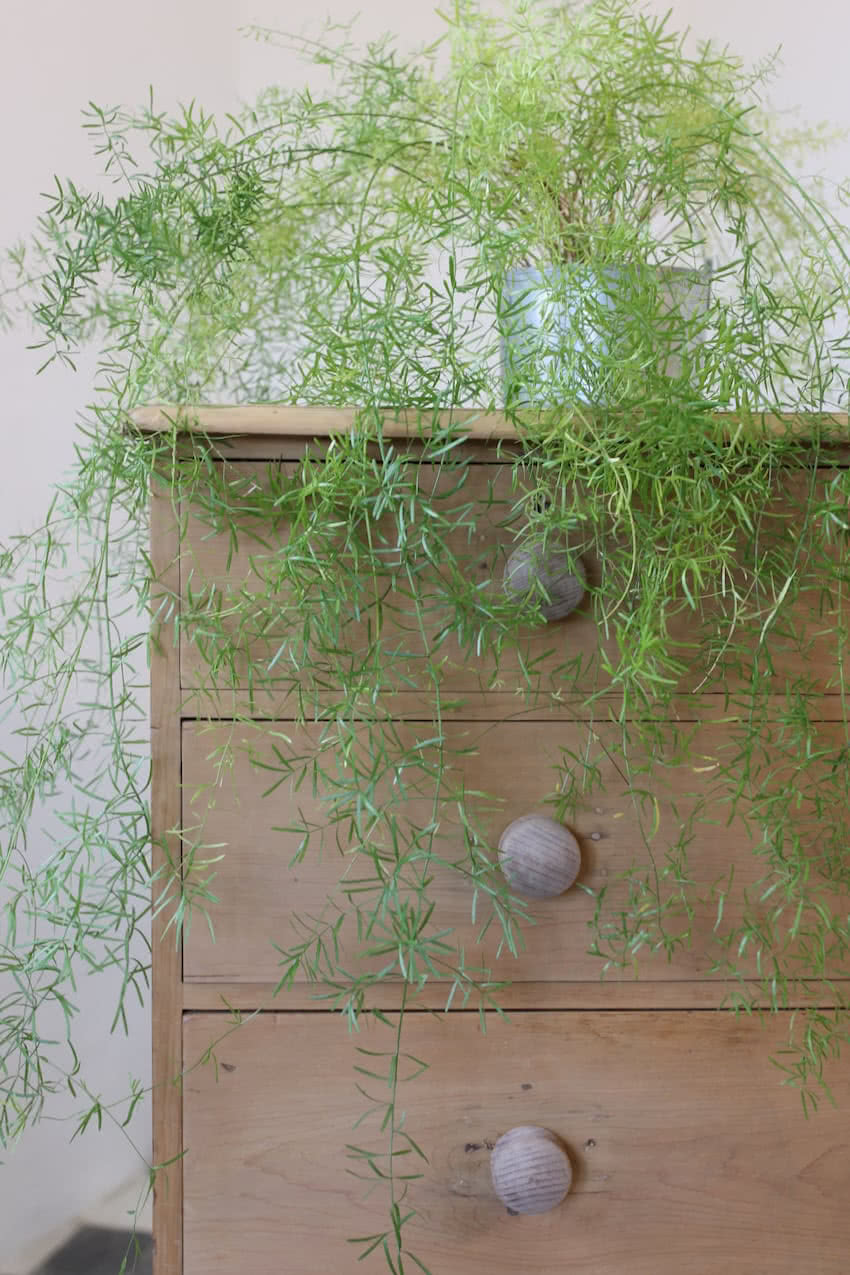 gorgeous looking antique english pine chest with new knobs and original feet, a very solid large chest of drawers.