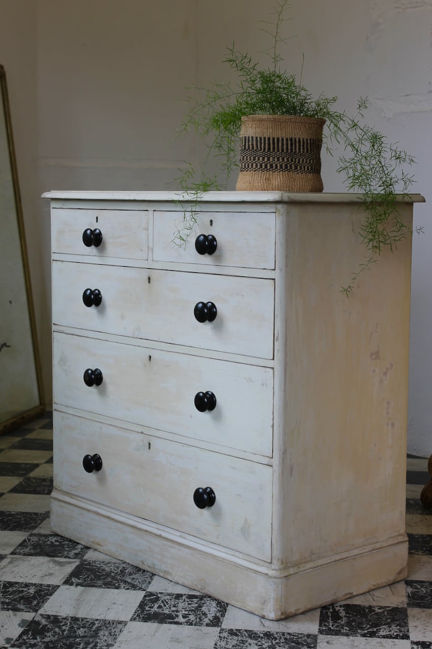 beautiful restored large victorian pine chest hand scraped to reveal original old white and cream paint, the chest has contrasting black wooden knobs.